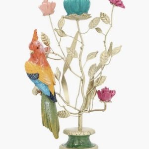 Lysestake fugl safari